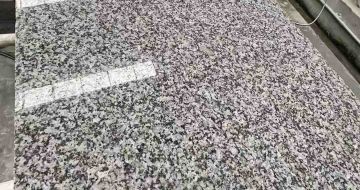 亳州 芙蓉白光面