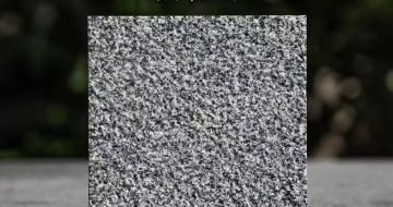 亳州 芝麻黑荔枝面