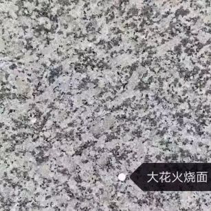 亳州 芙蓉白（芝麻白大花）火烧面