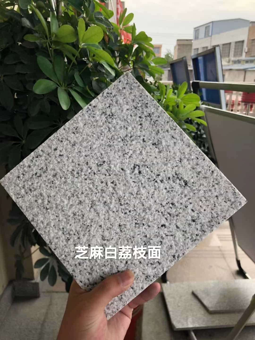 亳州 芝麻白荔枝面干挂