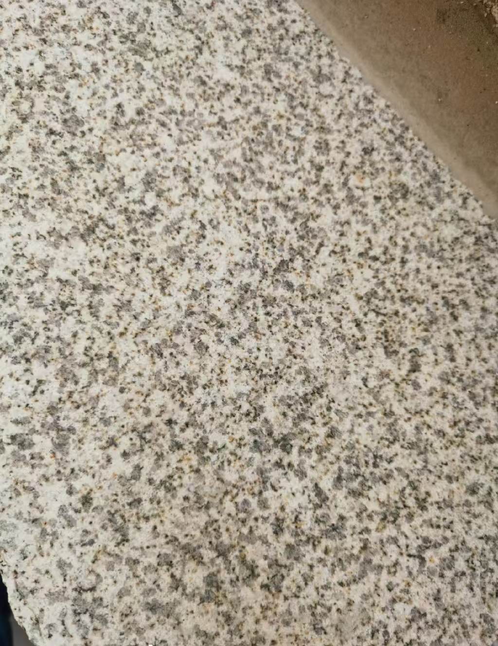 亳州 黄金麻中黄光面