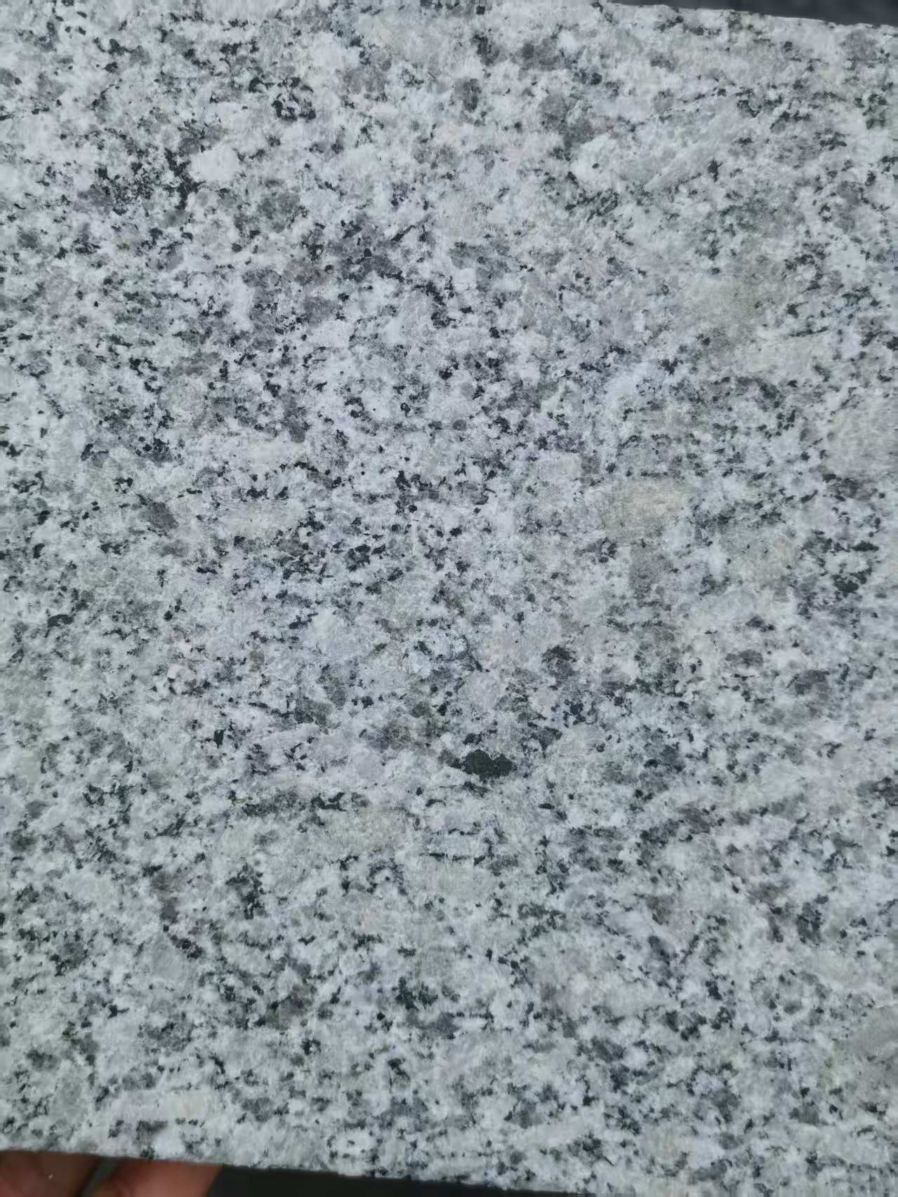 亳州 芙蓉白火烧面