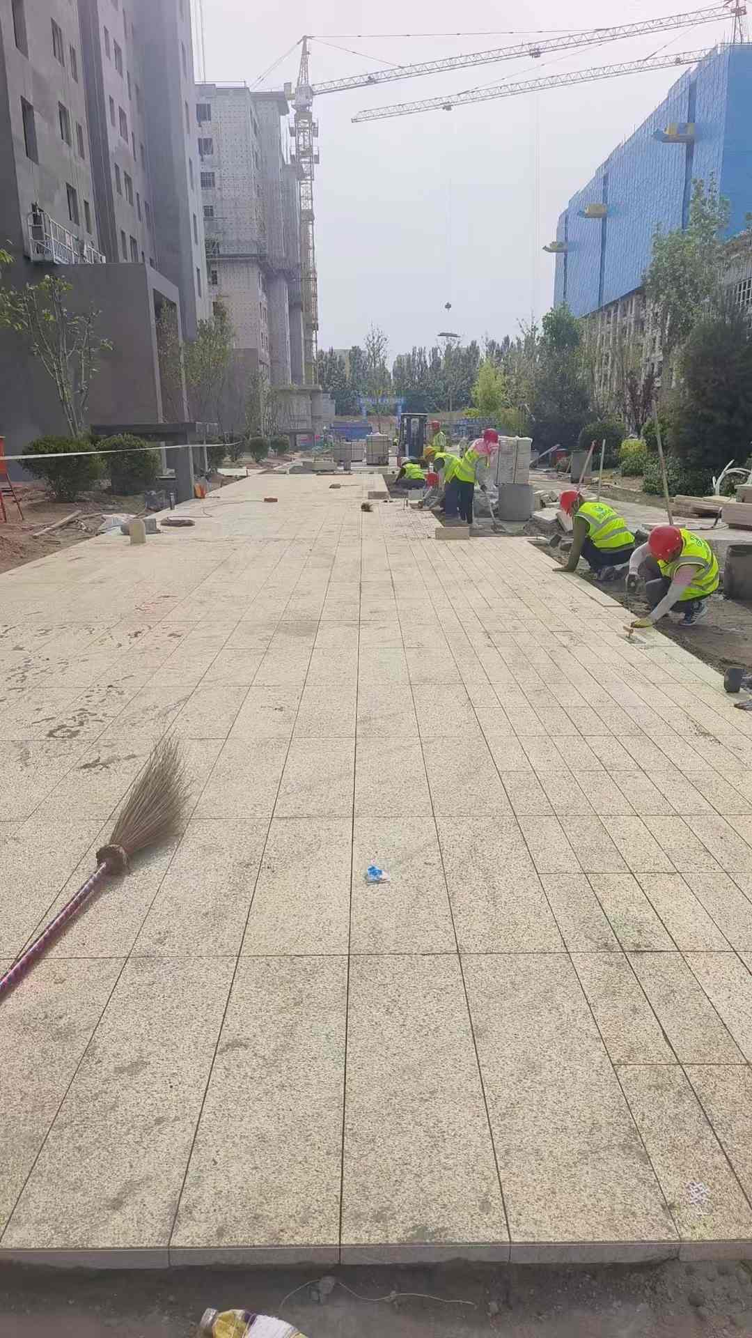 亳州黄金麻荔枝面地铺案例